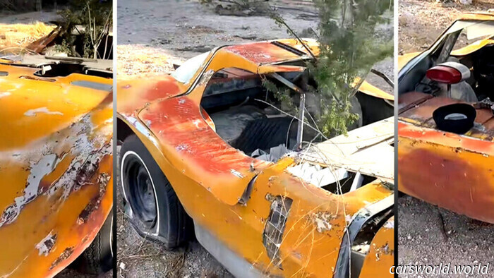Una reliquia in giardino, attraversata da un albero, aveva convinto la gente che fosse una rara auto sportiva americana | Carscoops